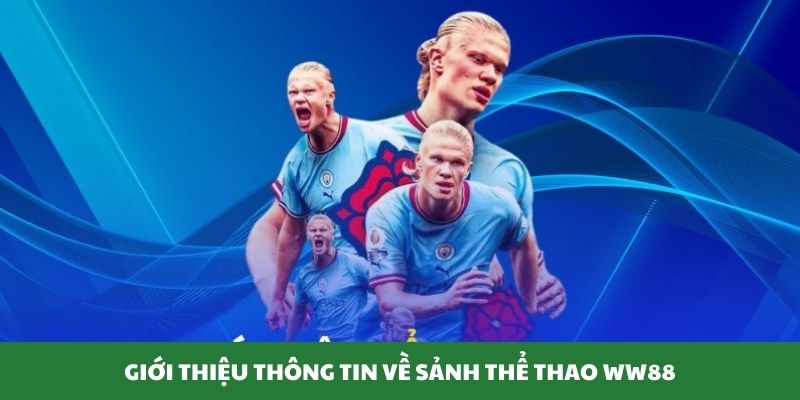 the-thao-w88-thong-tin