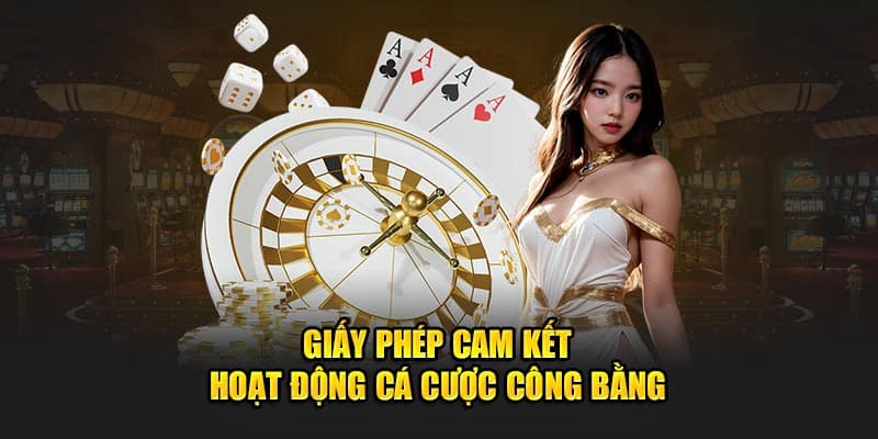 tong-quan-ve-giay-phep-hoat-dong